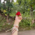 Nazish Jahangir