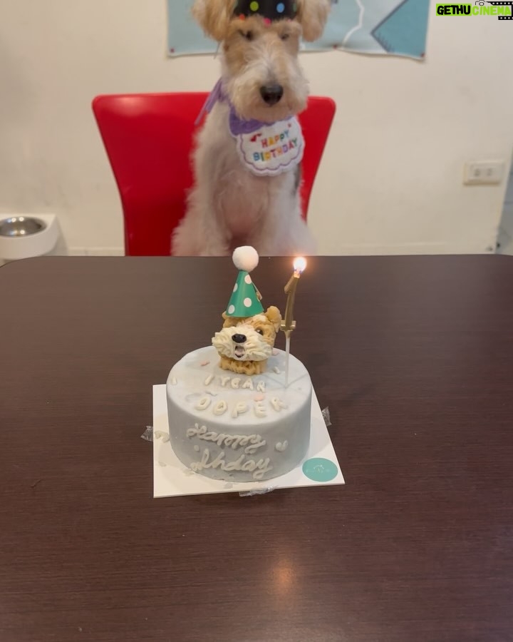 Nikki Hsieh - 23.2K Likes - 生日快樂我的小寶哺
願你健健康康、無憂無慮的過每一天
🎂