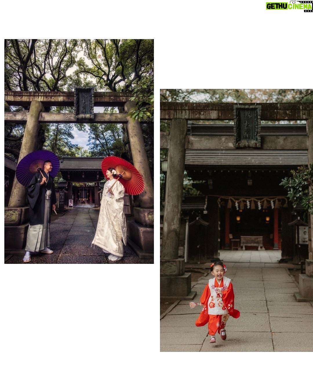 Nonoka Ono - 9.2K Likes - 七五三のお参りは
結婚式を挙げた赤坂氷川神社に
お願いしました。
同じロケーションで
写真も撮っていただいたので
並べてみたら泣けちゃった🥹✨笑
これからも
みんな仲良くよく笑い、
楽しく歳を重ねていきたいなと
強く思いました。
撮影
@mythel_anniversary
@mythel__
メイク
@kumiko_makeup_hi
私のお着物
@palwa.3444
#七五三 #3歳七五三 #女の子ママ