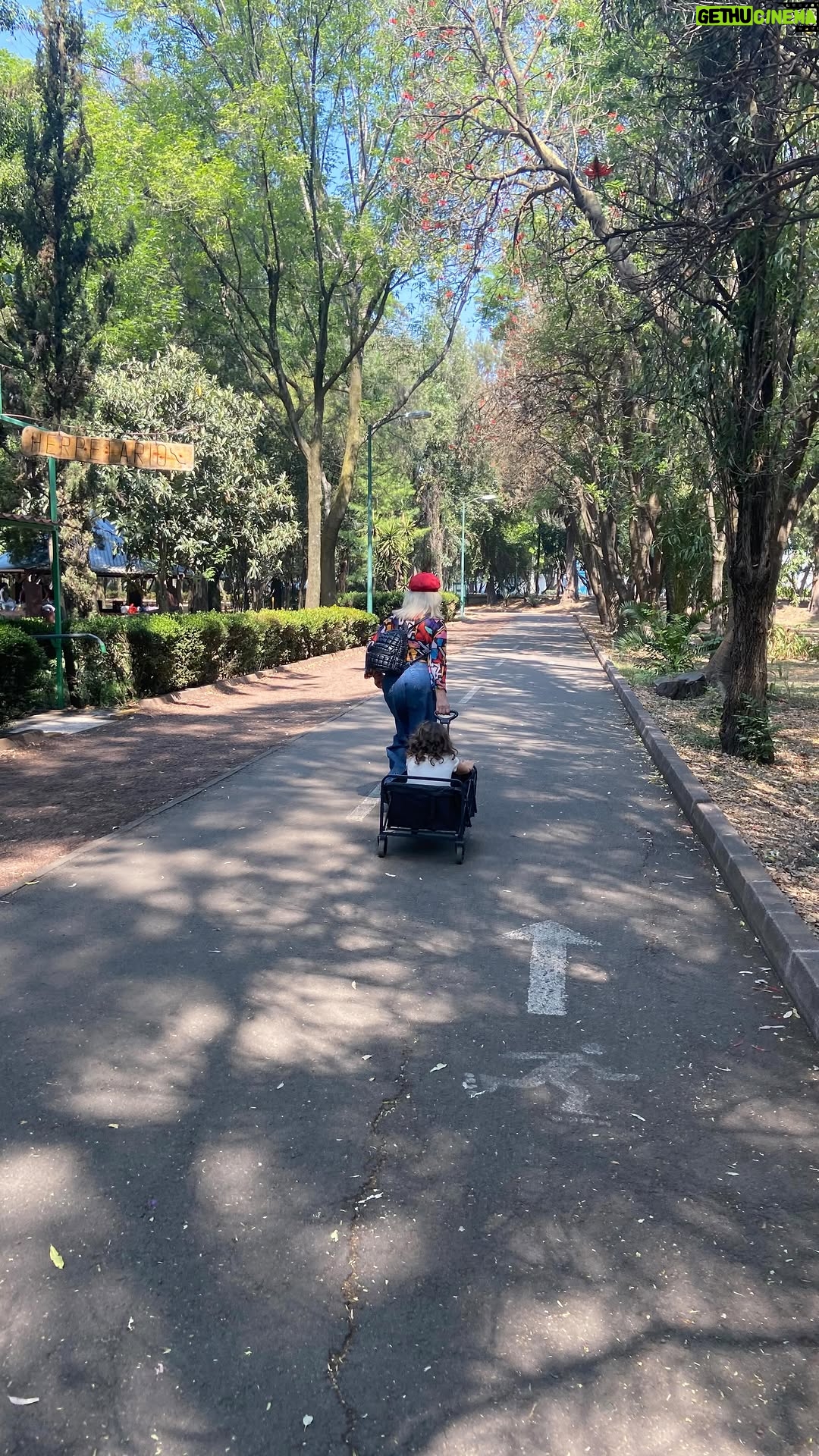 Olivia Collins - 225 Likes - 5 años jalando del carrito escuchando las ocurrencias del loco de la casa 🎈🥹🫶🏼 El mejor papel del mundo 👵🏻
#OliviaCollins #abuela #abueleando #nieto #cumpleaños