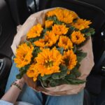 Oranicha Krinchai