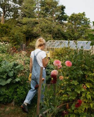 Pamela Anderson Instagram - Cooking with Love… our little show that’s everything I could ask for—my garden, a little farm on Vancouver Island, and chefs from all over the world. 👩‍🌾

I’m so happy that so many of you have loved it—It’s been a dream come true.

… and fun, fun, fun.

Thank you! 🤍✨