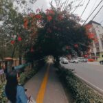 Patricia Javier