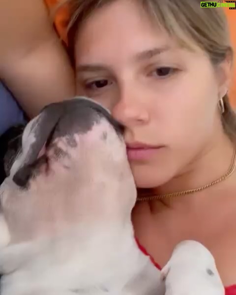 Paulina Vetrano - 12.3K Likes - Mi fiel compaƱero de vida, de siestas, de paseos, de juegos, tan incondicional, siempre ahĆ en los mejores y peores momentos. Tan BUENO, siempre fuiste un integrante mĆ”s de la familia. Todos fueron testigos de nuestro amor,jamĆ”s me acostumbrĆ© a amarte tanto!!! Te lo decĆa todo el tiempo⦠me parece tan irreal tener que despedirte. Duele tanto, el vacio que se siente en la casa, no te podes imaginar todo lo que nos dejaste y enseƱaste estos 10 aƱos juntos.
Solo me quedan los mejores recuerdos. Te disfrutĆ© a mas no poder y te dĆ todo el amor que tenĆa. Viviste una vida plena, libre, hermosa y eso me llena de paz y tranquilidad. Saber que estamos al dĆa.
Te seguirƩ viendo en alguna estrella, en una mariposa, un pajaro, en mis sueƱos, hasta volvernos a encontrar.
Darduli, fuiste y serĆ”s el mejor perro del mundo. te amo y te llevo en la piel para siempre š¤