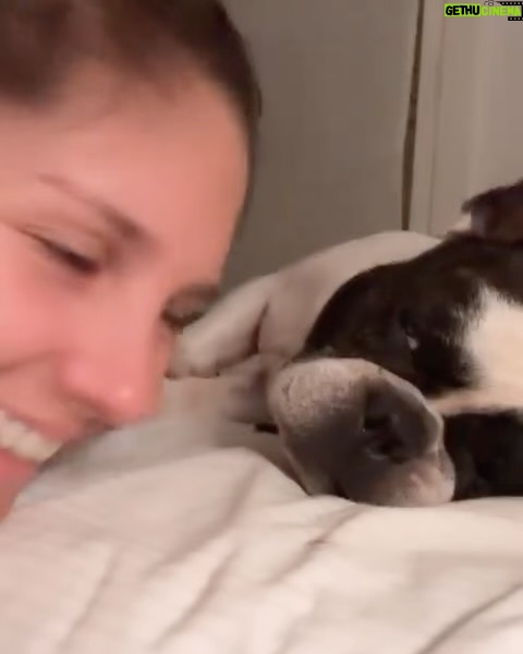 Paulina Vetrano - 12.3K Likes - Mi fiel compaƱero de vida, de siestas, de paseos, de juegos, tan incondicional, siempre ahĆ en los mejores y peores momentos. Tan BUENO, siempre fuiste un integrante mĆ”s de la familia. Todos fueron testigos de nuestro amor,jamĆ”s me acostumbrĆ© a amarte tanto!!! Te lo decĆa todo el tiempo⦠me parece tan irreal tener que despedirte. Duele tanto, el vacio que se siente en la casa, no te podes imaginar todo lo que nos dejaste y enseƱaste estos 10 aƱos juntos.
Solo me quedan los mejores recuerdos. Te disfrutĆ© a mas no poder y te dĆ todo el amor que tenĆa. Viviste una vida plena, libre, hermosa y eso me llena de paz y tranquilidad. Saber que estamos al dĆa.
Te seguirƩ viendo en alguna estrella, en una mariposa, un pajaro, en mis sueƱos, hasta volvernos a encontrar.
Darduli, fuiste y serĆ”s el mejor perro del mundo. te amo y te llevo en la piel para siempre š¤