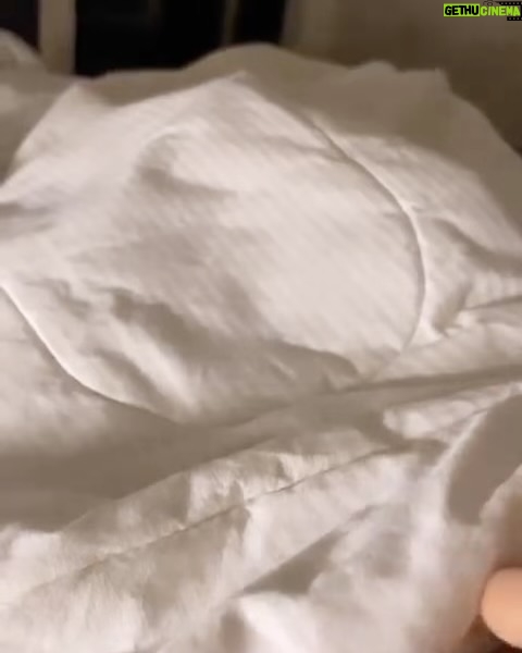 Paulina Vetrano - 12.3K Likes - Mi fiel compaƱero de vida, de siestas, de paseos, de juegos, tan incondicional, siempre ahĆ en los mejores y peores momentos. Tan BUENO, siempre fuiste un integrante mĆ”s de la familia. Todos fueron testigos de nuestro amor,jamĆ”s me acostumbrĆ© a amarte tanto!!! Te lo decĆa todo el tiempo⦠me parece tan irreal tener que despedirte. Duele tanto, el vacio que se siente en la casa, no te podes imaginar todo lo que nos dejaste y enseƱaste estos 10 aƱos juntos.
Solo me quedan los mejores recuerdos. Te disfrutĆ© a mas no poder y te dĆ todo el amor que tenĆa. Viviste una vida plena, libre, hermosa y eso me llena de paz y tranquilidad. Saber que estamos al dĆa.
Te seguirƩ viendo en alguna estrella, en una mariposa, un pajaro, en mis sueƱos, hasta volvernos a encontrar.
Darduli, fuiste y serĆ”s el mejor perro del mundo. te amo y te llevo en la piel para siempre š¤