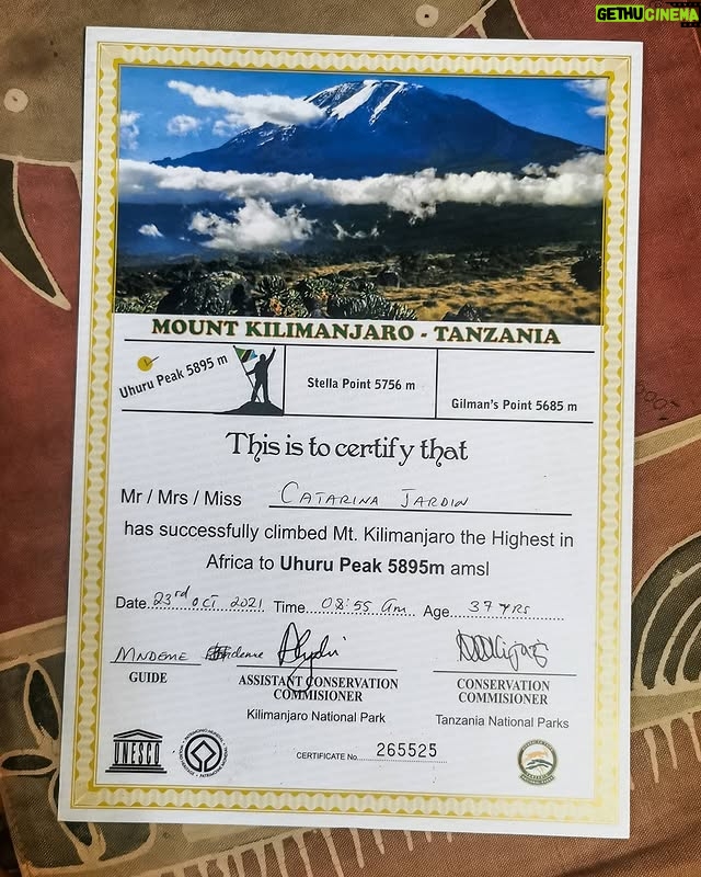 Pimpinha Jardim - 13.7K Likes - Ao final de 6 dias consegui chegar ao ponto mais alto de África. Um desafio muito difícil que foi superado! Uma experiência única, uma conquista para a vida. Obrigada a todos os que fizeram parte desta aventura, a escalada sem vocês não teria sido a mesma coisa. 🏔️ Mount Kilimajaro - Uhuru Peak 5895m amsl #highestinafrica #kilimanjaro #tanzania #africa #7summits