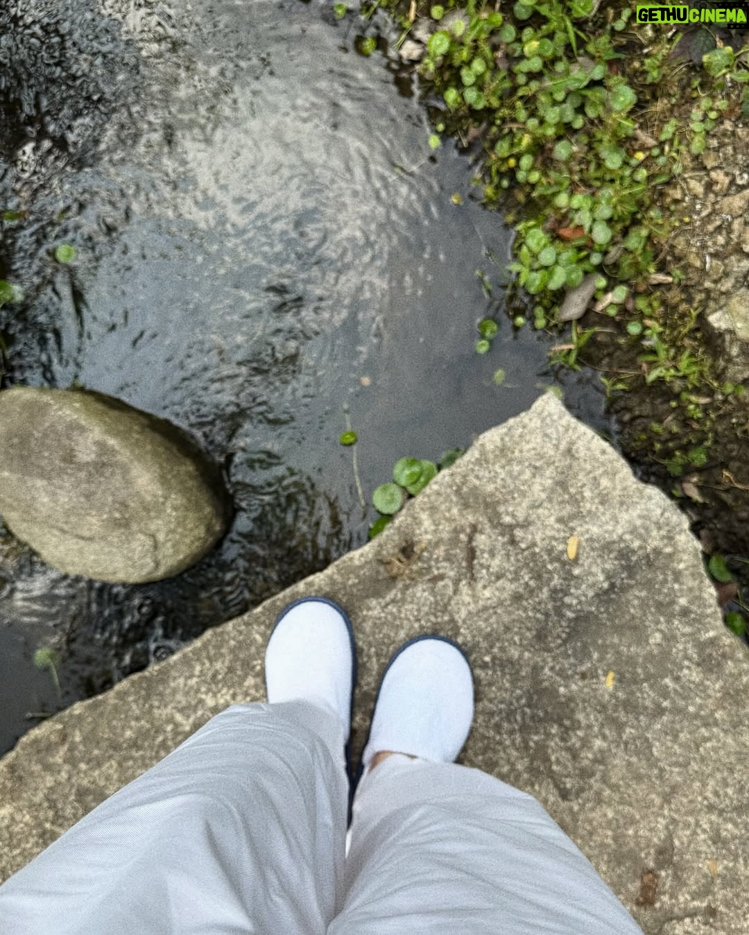 Pitchapa Phanthumchinda - 3 Likes - 🤍🍃🌞
