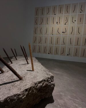 Pranali Ghogare Instagram - Spend a day at art galleries… thank me later.