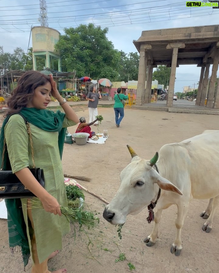 Pranali Ghogare - 3.8K Likes - 🍀🪴🌷
PC : CJ