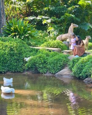 Pranitaa Pandit Instagram - Imagine waking up to a private waterfall, indulging in adventure-filled activities for kids, unwinding in a stunning infinity pool, and soaking in the untouched beauty of Coorg @ayatana.resorts . A perfect family getaway where every moment is magical ,  every experience unforgettable and endless adventures for the whole family every corner is a dream! 🌊

 #AyatanaCoorg #WaterfallRetreat #LuxuryInNature #PerfectFamilyEscape #intothewildwithluxury #ayatanamagic