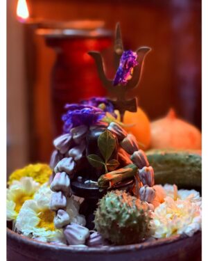 Pratyusha Paul Instagram - Har Har Mahadev, jai shiv shambhu..🔱🕉️ Trust in Mahadev, and He will guide you through every storm in life... #mahashivratri