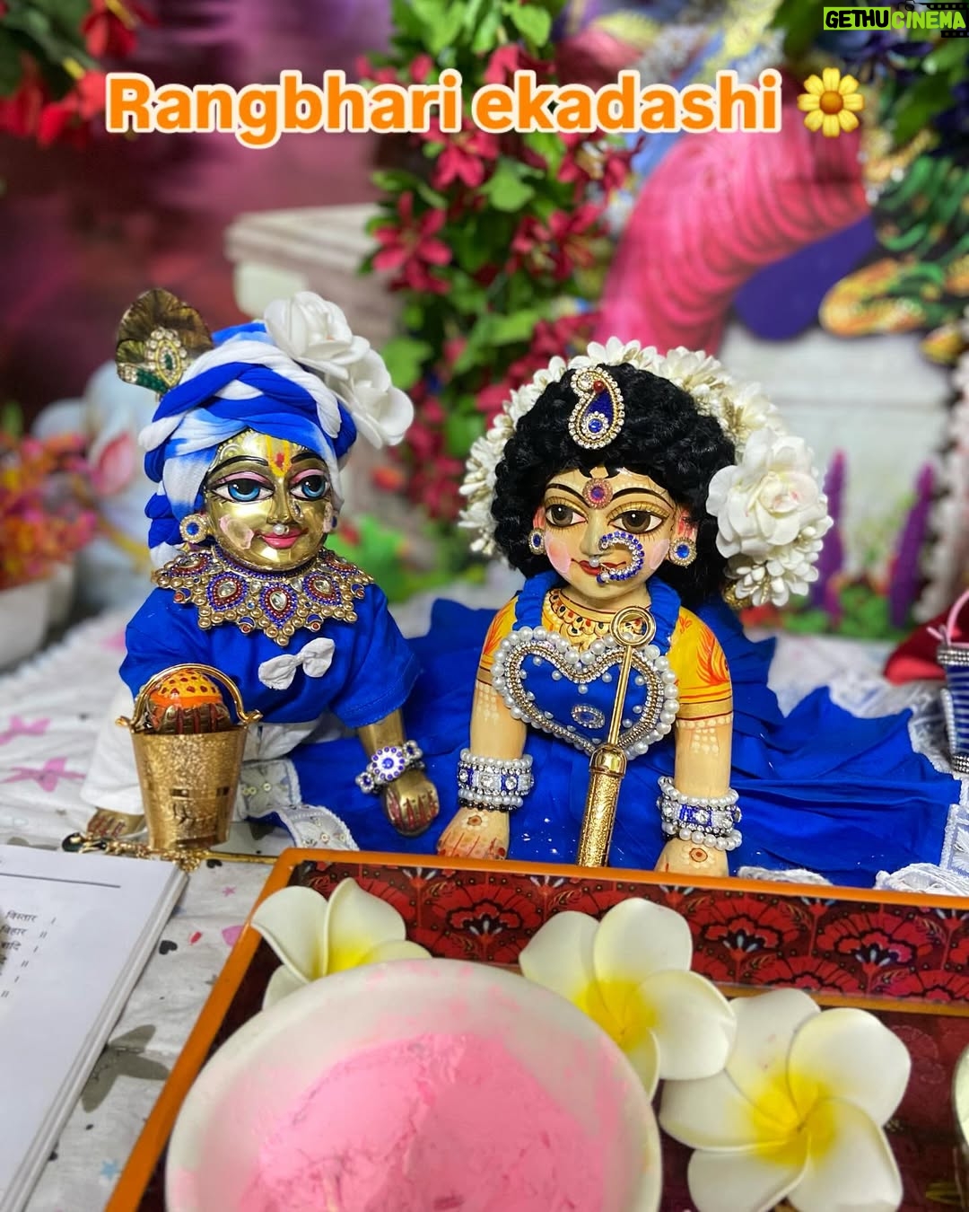 Priyanka Pandit - 6.9K Likes - Rangbhari ekadashi ki subhkamnaye 🌼 #radhe #krishna