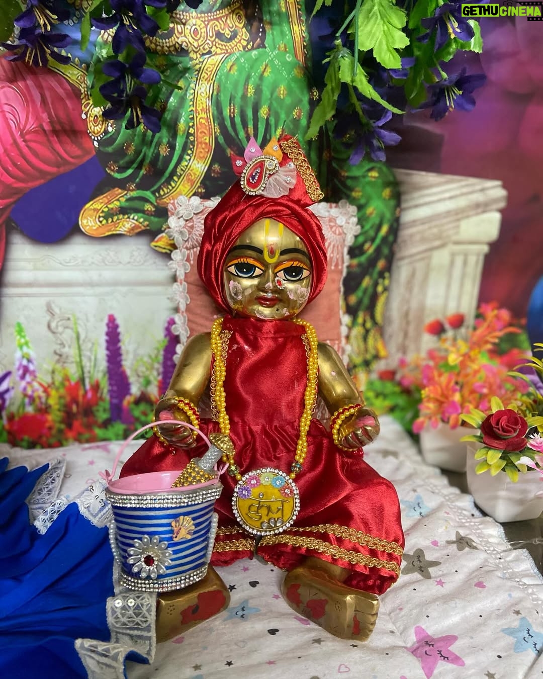 Priyanka Pandit - 6.9K Likes - Rangbhari ekadashi ki subhkamnaye 🌼 #radhe #krishna