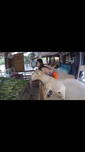 Pympan Chalayanacupt Instagram - เดทมื้อกลางวัน