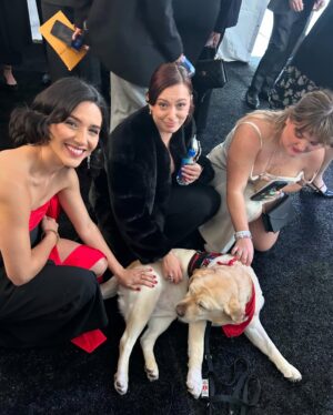 Rachel Bloom Instagram - I lost the #criticschoiceaward but got to meet Willow, a dog from the @losangelesfiredepartment so it’s a win 

Styling: @arieltunnell 
Head: @kattthompson 
Face: @austinevansmakeup 
Dress: @cinqasept 
Jewelry: @beladorajewelry 
Shoes: @alexandrebirman 
Clutch: @machandmach
Willow the dog: Heaven