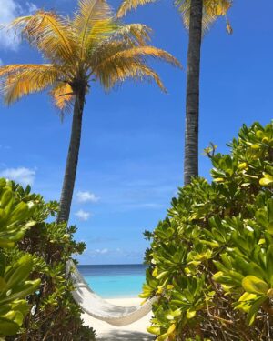 Rasha Al Taqi Instagram - Nothing beats island life, specially with you! @amermajzoub 🌴✨🐠✨🐚✨🦀✨🌺✨☀️✨🌊