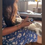 Renu Desai
