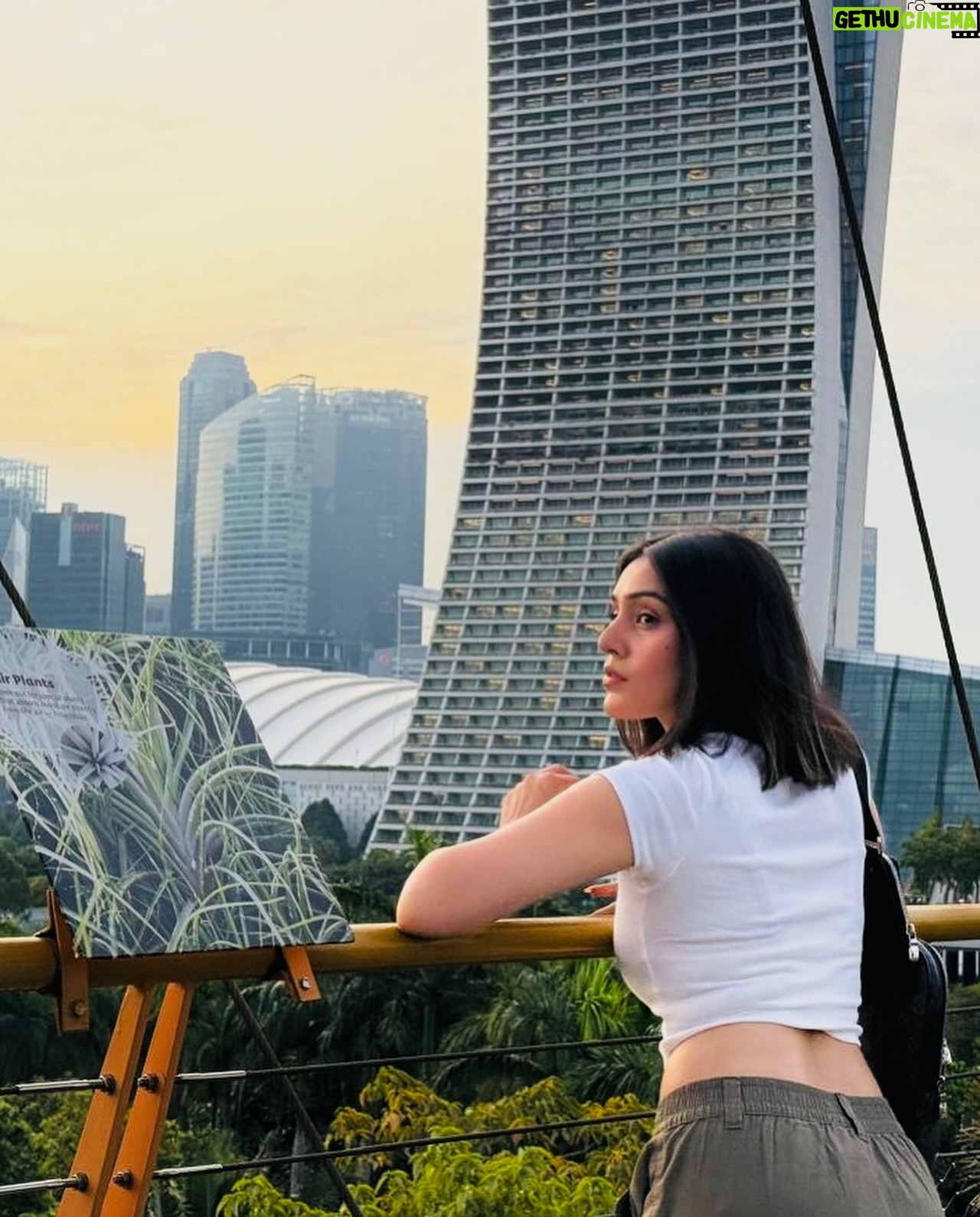 Rj Mahvash - 475.2K Likes - Live a little darling!