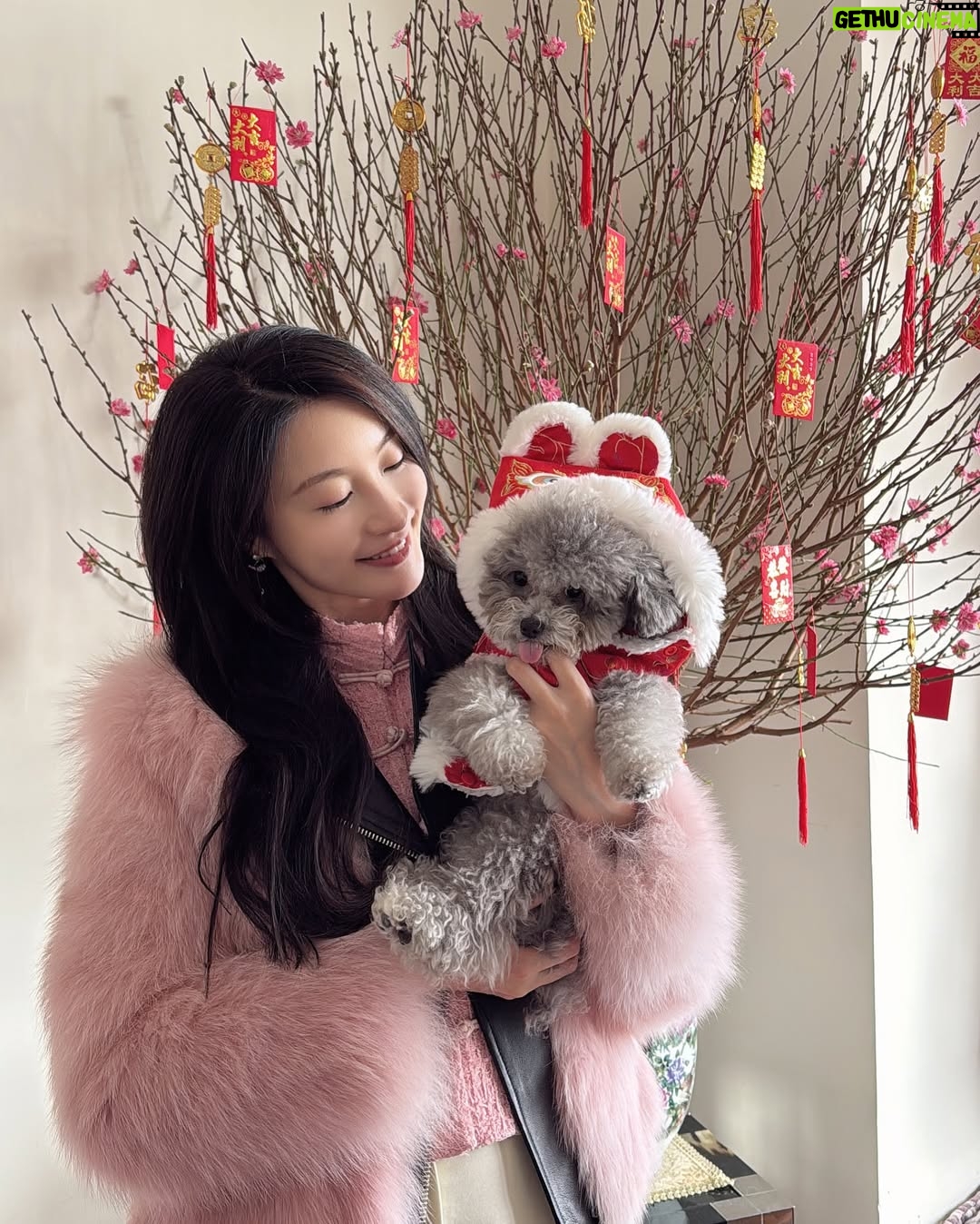 Rosina Lin - 15.6K Likes - 大年初一🍊大吉大利!恭喜大家發財!身體健康,萬事如意!❤️🥂🎉⭐️
#新年快樂 #大年初一