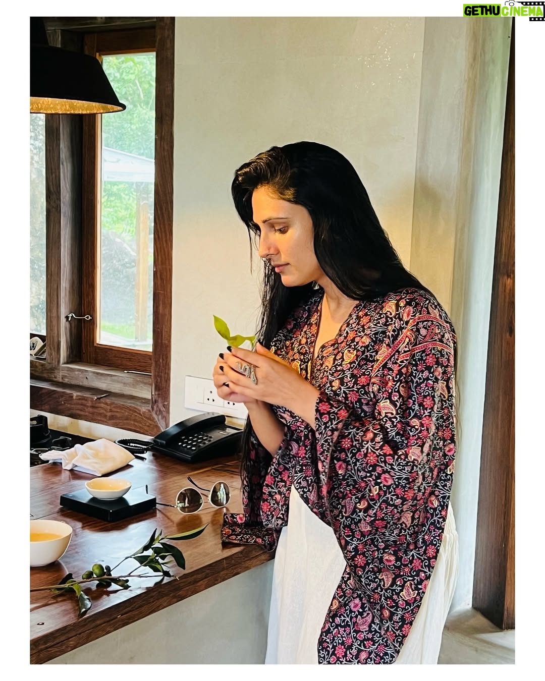 Saanvie Tallwar - 3 Likes - One of my favorite things I did at @windermereretreats was tea tasting. 
In their field, they organically grow high tea and coffee. 

After that, I went for a stroll through their gorgeous property, which is surrounded by tea gardens and a variety of spices. A stroll through a dense woodland. Thank you Ancel for showing me around .

The best location for nature enthusiasts to discover everything there is to offer @windermereretreats

#love 
#peace 
#birthday 
#gemini 
#kerala 
#travel 
#nomakeup 
#blessed 
#windermere 
#keralatourism 
#instagood 
#iloveyouall ❤️

#saanvietallwar