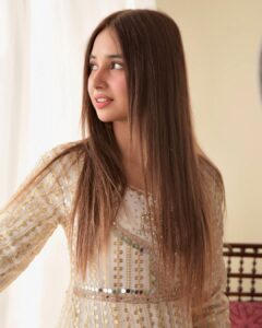 Actress Sabeena Farooq HD Photos and Wallpapers February 2025