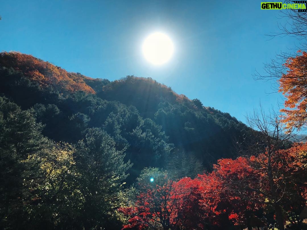 Sam Cruz - 3.4K Likes - nami, you are beautiful 🌄