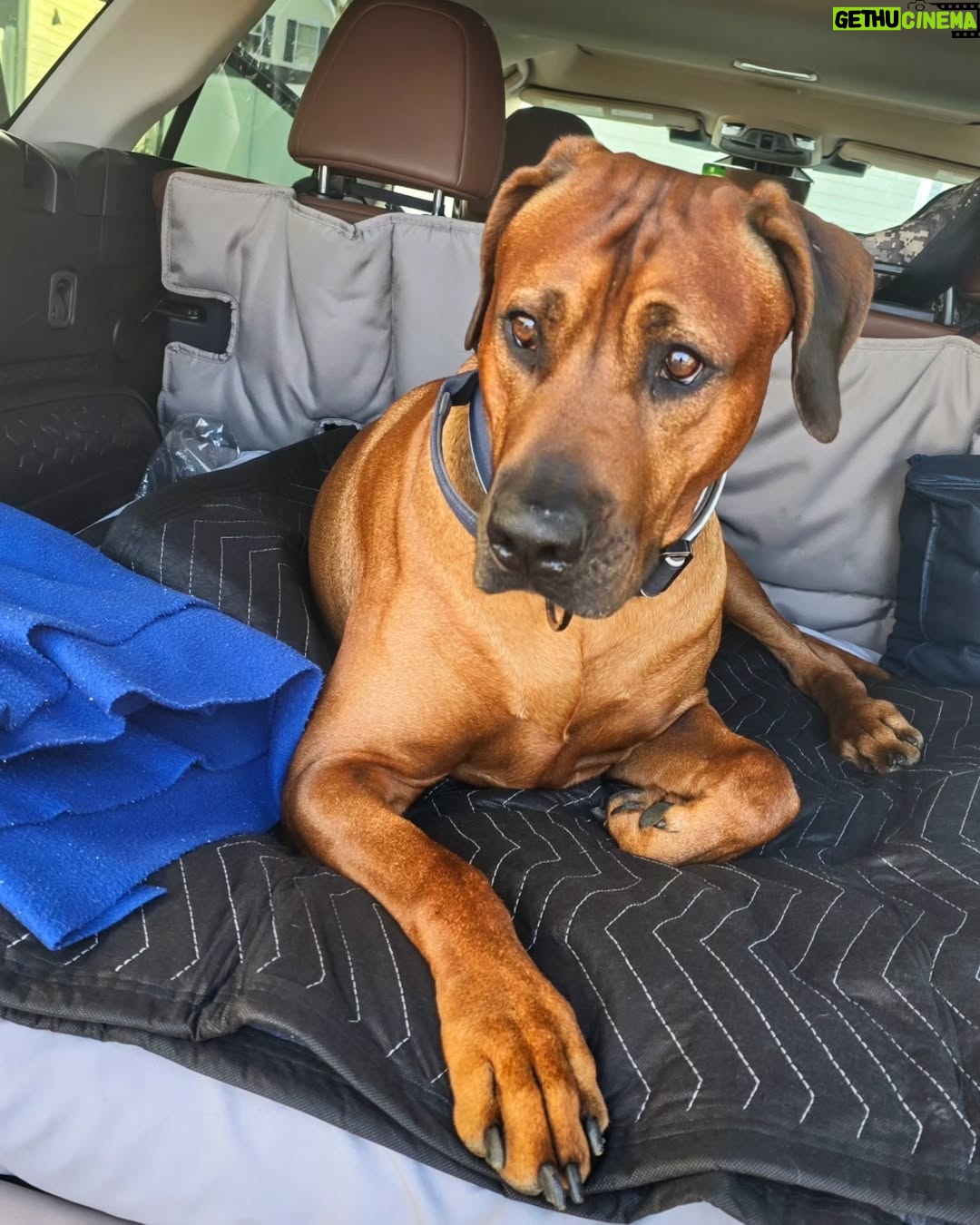 Saman Ansari - 456 Likes - #roadtrip!
10- 12 hours , who can predict traffic, right?
š š and me... and shall be š“ š¤ in the car too!
Adventures anyone?