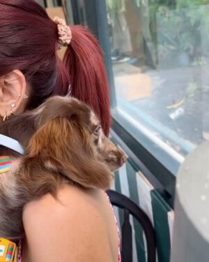 Sammy Cowell Instagram - 💖🐶🥤🍒