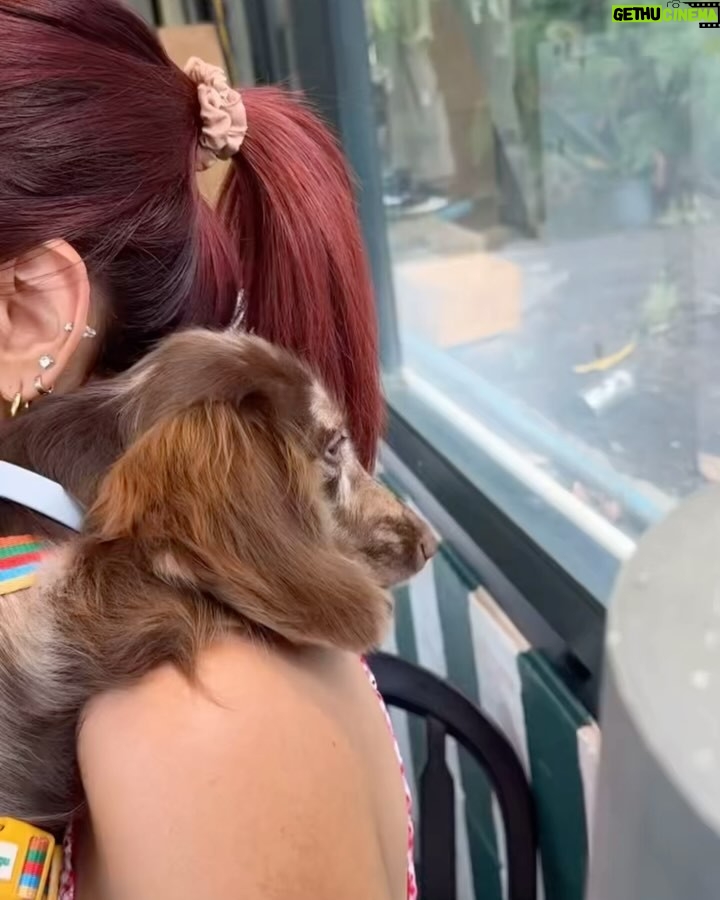 Sammy Cowell - 3 Likes - 💖🐶🥤🍒