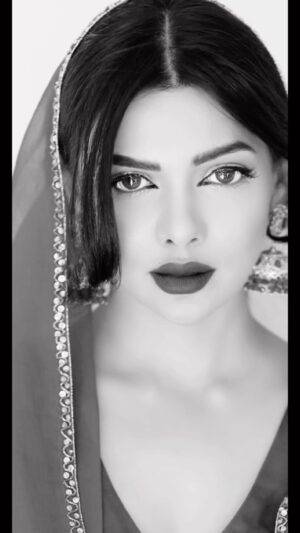 Sara Hussain Instagram - #herramandi 
#trending 
#unstopable 
#bollywood 
#monaliza11