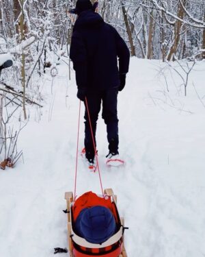 Sarah Gadon Instagram - ❄️day
