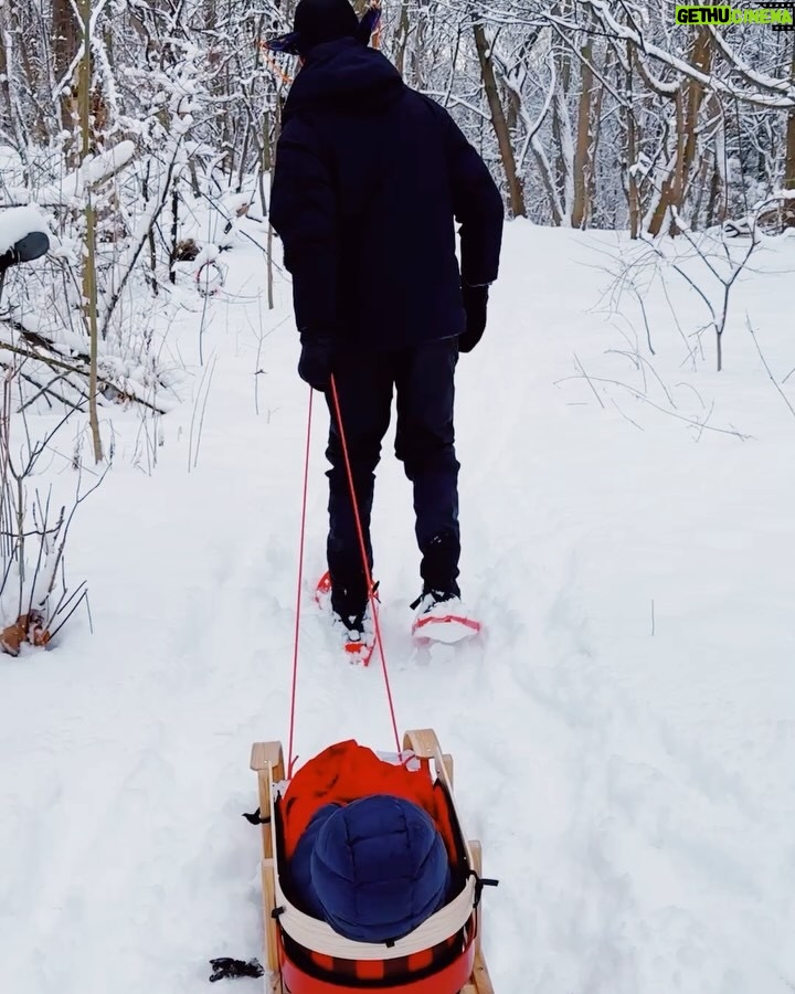 Sarah Gadon - 1.2K Likes - ❄️day