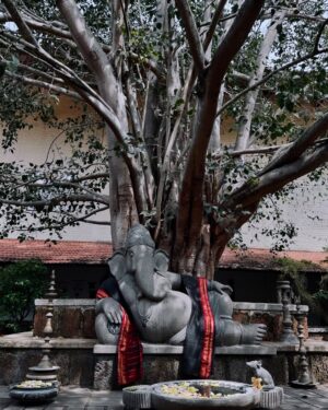 Sayali Sanjeev Instagram - 🥹
•
•
Thank you so much @isha.foundation @adiyogi.official @sadhguru 🙏🏻for your love ❤️ 
I have no words to describe how wonderful it is to be in the Ashram. You are filled with a sense of warmth and joy. 
Thank you for all the days you made me feel loved and appreciated. 🙏🏻 I am so grateful 🥹 
•
•
#adiyogi #ishafoundation #shiva #adiyogishiva #love