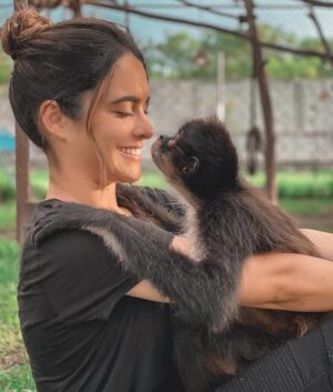 Scarlet Gruber Instagram - Ella es Luna…
Hace poco tuve la oportunidad de visitar el centro de rehabilitación @mayanwildlife donde conviví con monos araña. Esta organización fue fundada por @julesproducer y @tefaonline , dos amigos del alma que se han dedicado al rescate y la rehabilitación de estos animales. Les tengo que pedir de corazón que nunca compren o vean a estos animales como mascota, ya que para obtener una cría matan a gran parte de la tropa y a su madre. Por ende, crecen con muchísimo sufrimiento y trauma.
Este centro necesita de nuestra ayuda para seguir brindado apoyo a estas criaturas, mantenerlos es costoso, me haría muy feliz que nos unamos para donar a esta noble causa. Personalmente estuve ahí por días y me di cuenta de todo el esfuerzo que hacen para mantenerlos dignamente ya que muchos de ellos no podrán ser de nuevo puestos en libertad. Al comprar uno de estos animales estamos destruyendo la vida de muchos de ellos. Por favor para más info y donaciones directo en @mayanwildlife ♥️