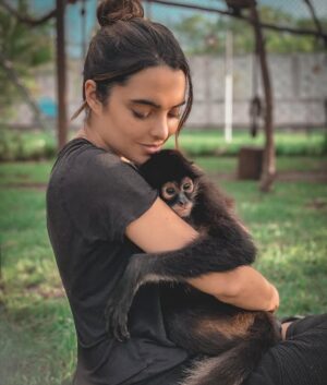 Scarlet Gruber Instagram - Ella es Luna…
Hace poco tuve la oportunidad de visitar el centro de rehabilitación @mayanwildlife donde conviví con monos araña. Esta organización fue fundada por @julesproducer y @tefaonline , dos amigos del alma que se han dedicado al rescate y la rehabilitación de estos animales. Les tengo que pedir de corazón que nunca compren o vean a estos animales como mascota, ya que para obtener una cría matan a gran parte de la tropa y a su madre. Por ende, crecen con muchísimo sufrimiento y trauma.
Este centro necesita de nuestra ayuda para seguir brindado apoyo a estas criaturas, mantenerlos es costoso, me haría muy feliz que nos unamos para donar a esta noble causa. Personalmente estuve ahí por días y me di cuenta de todo el esfuerzo que hacen para mantenerlos dignamente ya que muchos de ellos no podrán ser de nuevo puestos en libertad. Al comprar uno de estos animales estamos destruyendo la vida de muchos de ellos. Por favor para más info y donaciones directo en @mayanwildlife ♥️