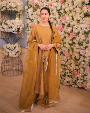 Shaista Lodhi Instagram - Wearing @sheenbyshaistalodhi at wedding reception.

📷 @black_ink_studio_ 

#ShaistaLodhi
