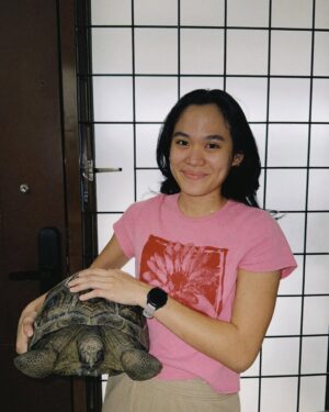 Sheryl Sheinafia Instagram - saying farewell not goodbye (cause he's NOT dead) to my tortoise of many years feels like the end of an era. you've been with me through every house move, adapting to each new corner we called home. a quiet, steady presence in my life, you’ve seen it all my tiny dinosaur. wishing you all the love and comfort in your new adoptive home — may you continue to bring joy and calm to those around you buddy!!! thank you for being part of my journey, Indi. 🥹🐢💛🦖
