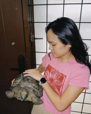 Sheryl Sheinafia Instagram - saying farewell not goodbye (cause he's NOT dead) to my tortoise of many years feels like the end of an era. you've been with me through every house move, adapting to each new corner we called home. a quiet, steady presence in my life, you’ve seen it all my tiny dinosaur. wishing you all the love and comfort in your new adoptive home — may you continue to bring joy and calm to those around you buddy!!! thank you for being part of my journey, Indi. 🥹🐢💛🦖