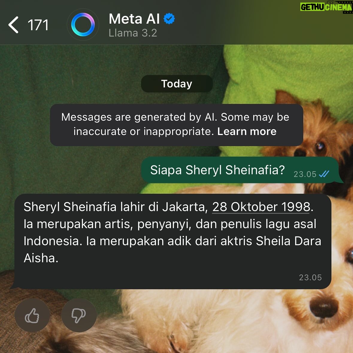 Sheryl Sheinafia - 16.6K Likes - swipe right untuk liat percakapan sama meta ai 👍🏻
jujur, gak aku lanjutin.
aku sudah puas sama jawabannya.