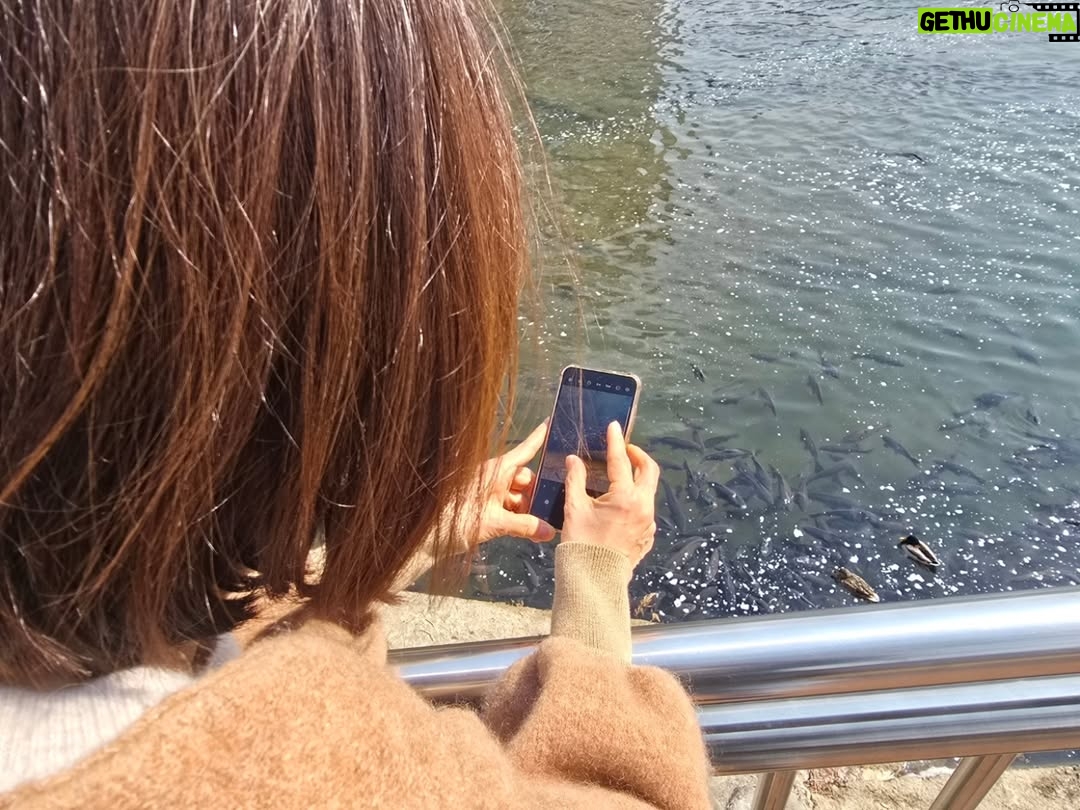 Shin Ae-ra - 24.8K Likes - 어제 올린 피드에대해 위로,공감,응원해주신 많은분들, 진심으로 감사합니다ㅠㅠ
저희는 대구에 있어요.
산책도하고 물고기랑오리도보고 기타도치고
중고서점에서 오래된책들도보고
내가 좋아하는 #오가닉모가 에서 달달이 먹으며 힐링하고있네요.
삶은 이런거겠죠?
속상한날이있으면 행복한날도있는...
혹시 슬프거나 화나거나 불안하세요?
우리 그냥 버티며 살아봐요.
분명 괜찮아지는 날도 꼭올꺼에요.
#회복탄력성
"가끔은 스트레스를
인생의맷집을 키우는 주먹으로 받아들이는것이 좋다"