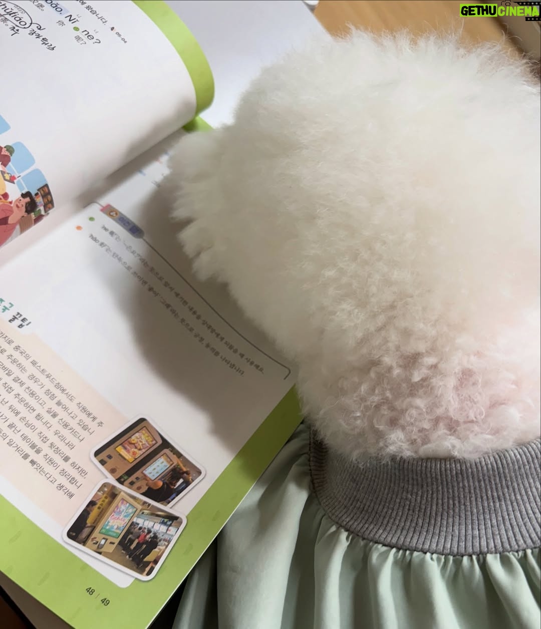 Shin Sae-rom - 16.1K Likes - 내이름 신(곰)이
-My 5-year-old dog, Bichon Friese, is named Bear