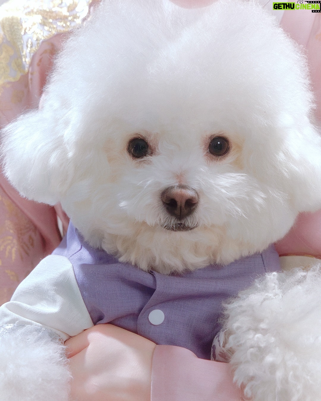 Shin Sae-rom - 10.3K Likes - 솜뭉치랑☁️