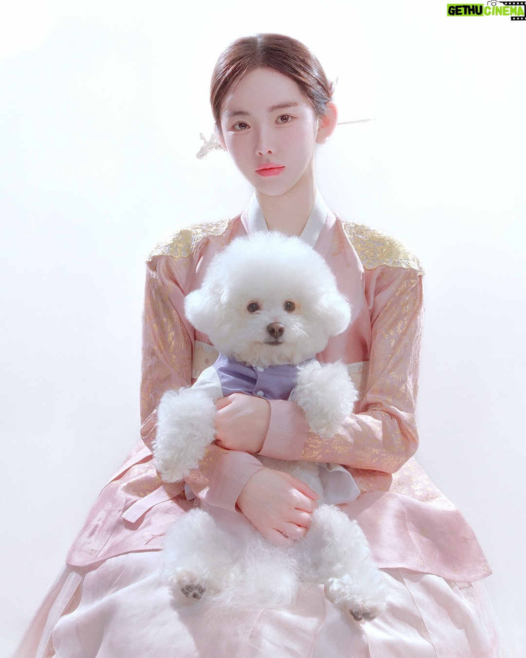 Shin Sae-rom - 10.3K Likes - 솜뭉치랑☁️