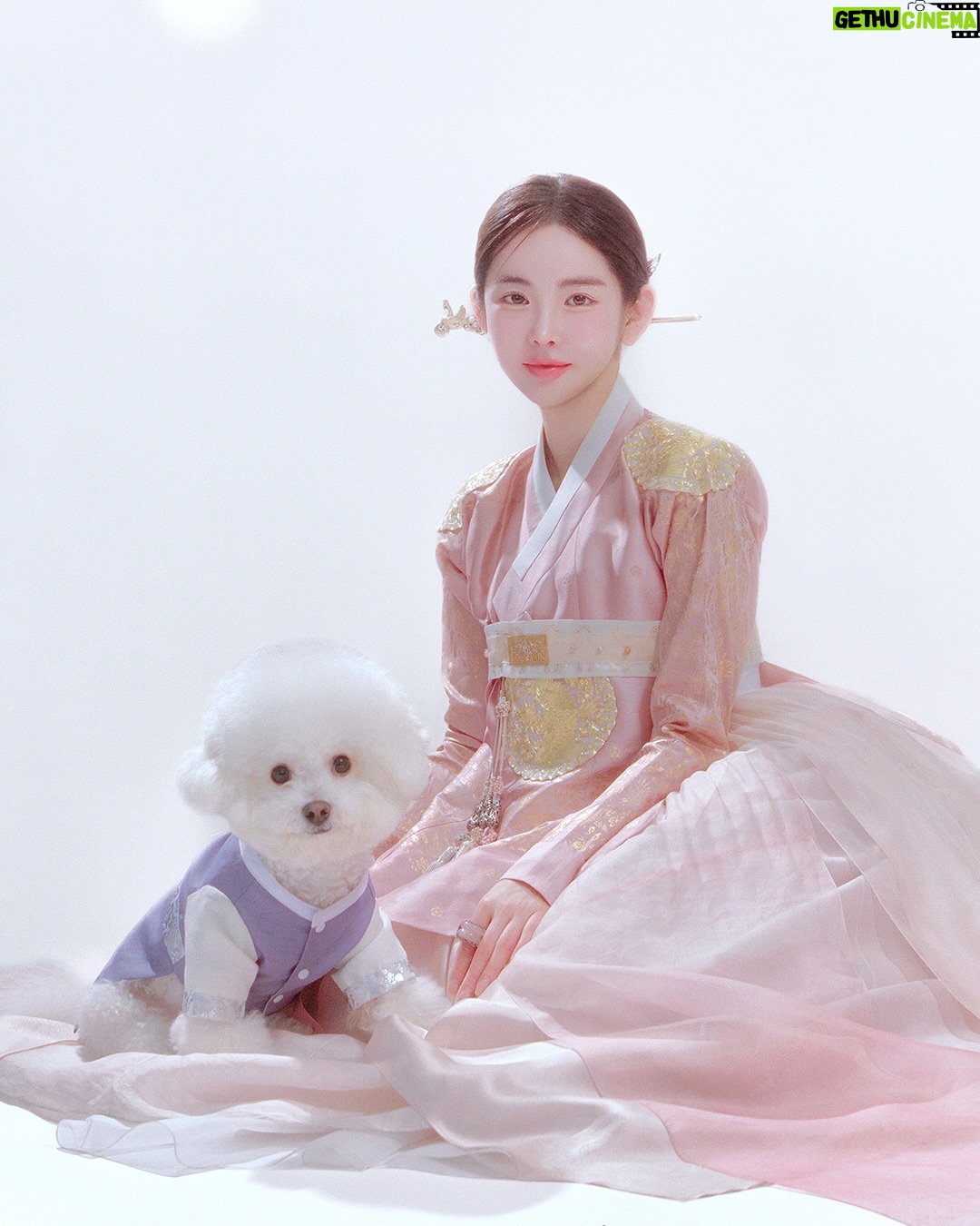 Shin Sae-rom - 10.3K Likes - 솜뭉치랑☁️