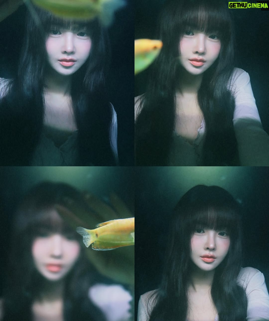 Shin Sae-rom - 5.2K Likes - 앞머리 오랜만🐟@photoobjet_official