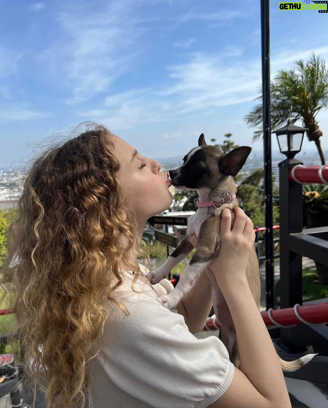 Shirly Brener - 6.2K Likes - happiest of bdays to this sparkle of light!! @jujubrenerofficial since the day you were born you have been the most spunky, full of life, determined, righteous, silly, creative go-getter!! we are amazed daily by how much you have achieved at such a young age, by the time you were 4 you had the focus and professionalism of a 40 year-old!! You go all out in all you do and you live life to the fullest. your love for acting, dancing & music is infectious The past few years you have been juggling a really impressive schedule shooting movies, working w huge movie stars, having your own fashion collection, shooting for major brands both in print & tv & making spotify charted music with your first single !! your the coolest kid ever and you do everything with a smile , a ton of energy & a grateful heart. your love for dogs & animals knows no boundry and you adore your older sister mila !! We wish you the best year filled with all your big dreams come true!! Life is just more colorful and full of vigor when you’re around!! we love you so much more than words or photos could describe Juju the sky is the limit for you. cant wait for all that’s coming.!!! 💝💝🎉🎉🎉🎈🎈