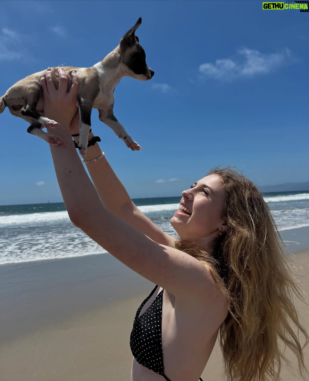 Shirly Brener - 8.3K Likes - happiest of bdays to my @milabrenerofficia!! the day you were born was the happiest day of my life!! fromt he moment you arrived on this earth, you were pure, kind, giving & tenacious!! You have always been a perfect daughter and dedicatef sister, you are so talented & hardworking & have achieved things that many adults in their 50s have yet to , working since you were a baby, winning awards and creating art in many aspects acting, dancing, singing, playing instruments, voiceover, directing, writing, producing, producing music and the list goes on!! a true artist!! we are so proud of you for all your academic achievements & for getting into the college of your dreams on a full scholarship and excelling there as well! You do everything with ease and grace, charm & humor, you never boast about yourself (which is why I’m doing it haha) you are kind & very giving to all around you kids, adults , elderly, and animals. your soft yet strong & you give everything you do 120% you’re always the hardest working person in the room!! you advocate and work for humanitarian causes and the jewish people!! Thank you for your love and light the world is a better place because you’re in it!!!
I hope this year brings you more of all you do!! Mostly happiness and health, creativity & prosperity. You are truly the best. we love & admire u more than words could ever describe 💝💝💝🎈🎈🎈🎉🎉🎂🎂