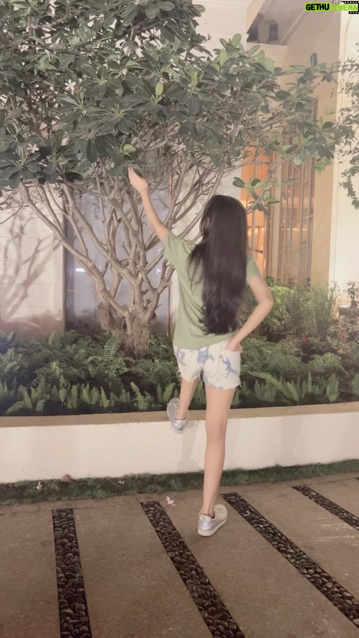Shivika Rishi - 16.9K Likes - 🍃🍂🐚
#trend #reels #viralvideos #explore #fyp #peligrosa