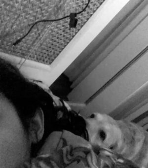 Shreya Chaudhary Instagram - Toughest week of my life. Lost a part of me. Time to rest baby boy ♥️🥺
Until we meet again super soon K’os ♾️
Thankyou for choosing us ! And being the most unconditional part of my life. Us against the world alwayssss !
My boy brought out the most humane side in me. If you know me you know K’os is my life. He never complained or troubled, Just sat by my side through every (and I mean every) sickness , sad day , bad day and happy day. I knew no matter what I have you. No judgements just unconditional love and acceptance.
Be it your bark when I come home or you stealing my pillow to wake me up in the morning, you made sure my day started and ended with you and I’d have it nooo other way.
The most important part of my family.
And a part of every puja to party.
Be well my puppy ♥️ I’m a mess without you :( I miss you! You’ll always be my sunshine.
4.3.08 - 5.10.22 ♾️💞